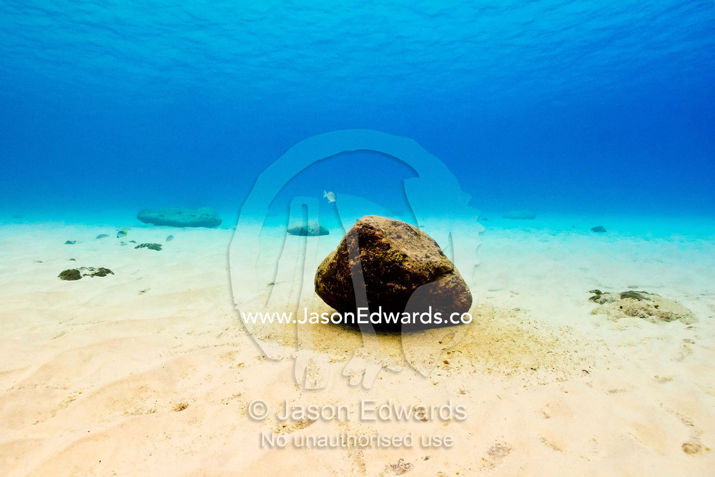A lonely boulder rests on the sandy bottom of a clear tropical ocean. Vava'u Island Group, Pacific Ocean, Oceania, Kingdom of Tonga.