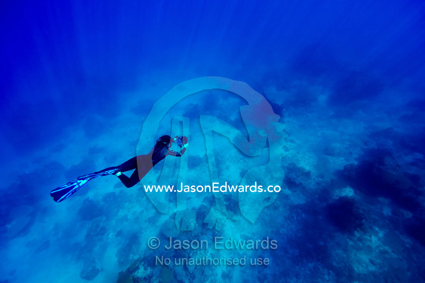 A free diver swims in the ocean after a Manta Ray with a video camera. Rabi Island, Somosomo Strait, Pacific Ocean, Fiji Islands.