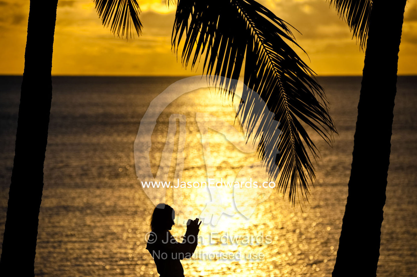 A tourist photographs an idyllic tropical sunset beneath palm trees. Paradise Taveuni, Taveuni Island, Somosomo Strait, Pacific Ocean, Fiji Islands.