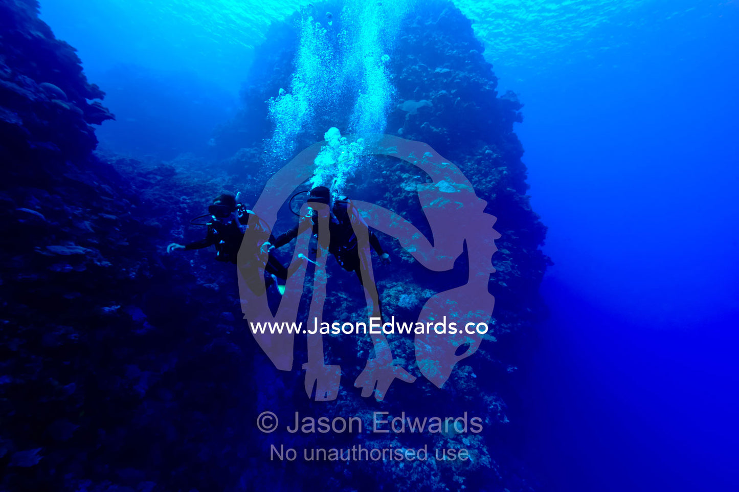 A couple on their honeymoon scuba diving along a tropical coral reef. Kokod Point, Ringgold Atolls, Pacific Ocean, Fiji Islands.