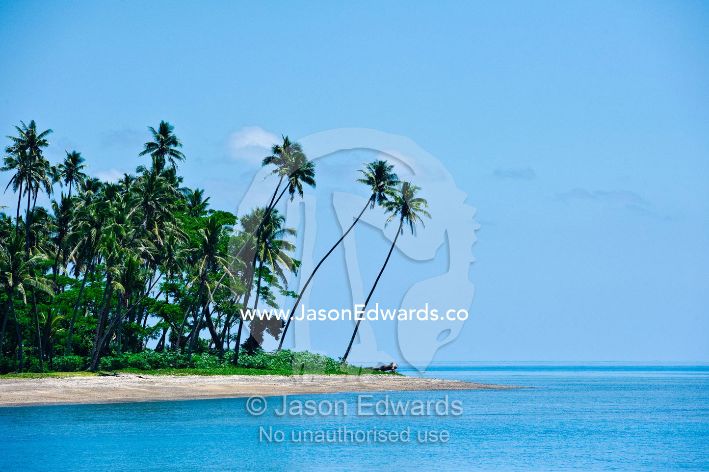 Palm trees line a deserted beach jutting into a calm tropical sea. Taveuni Island, Somosomo Strait, Pacific Ocean, Fiji Islands.