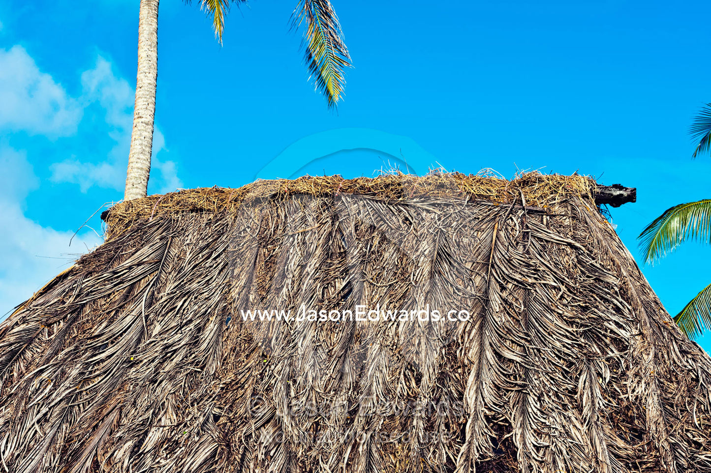 A traditional thatched roof of palm leaves on a buree bungalow. Taveuni Island, Pacific Ocean, Fiji Islands.