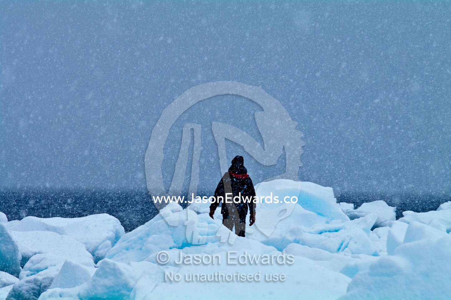 A man hikes in a blizzard on an island shoreline covered in icebergs. Danco Island, Antarctic Peninsula, Antarctica.