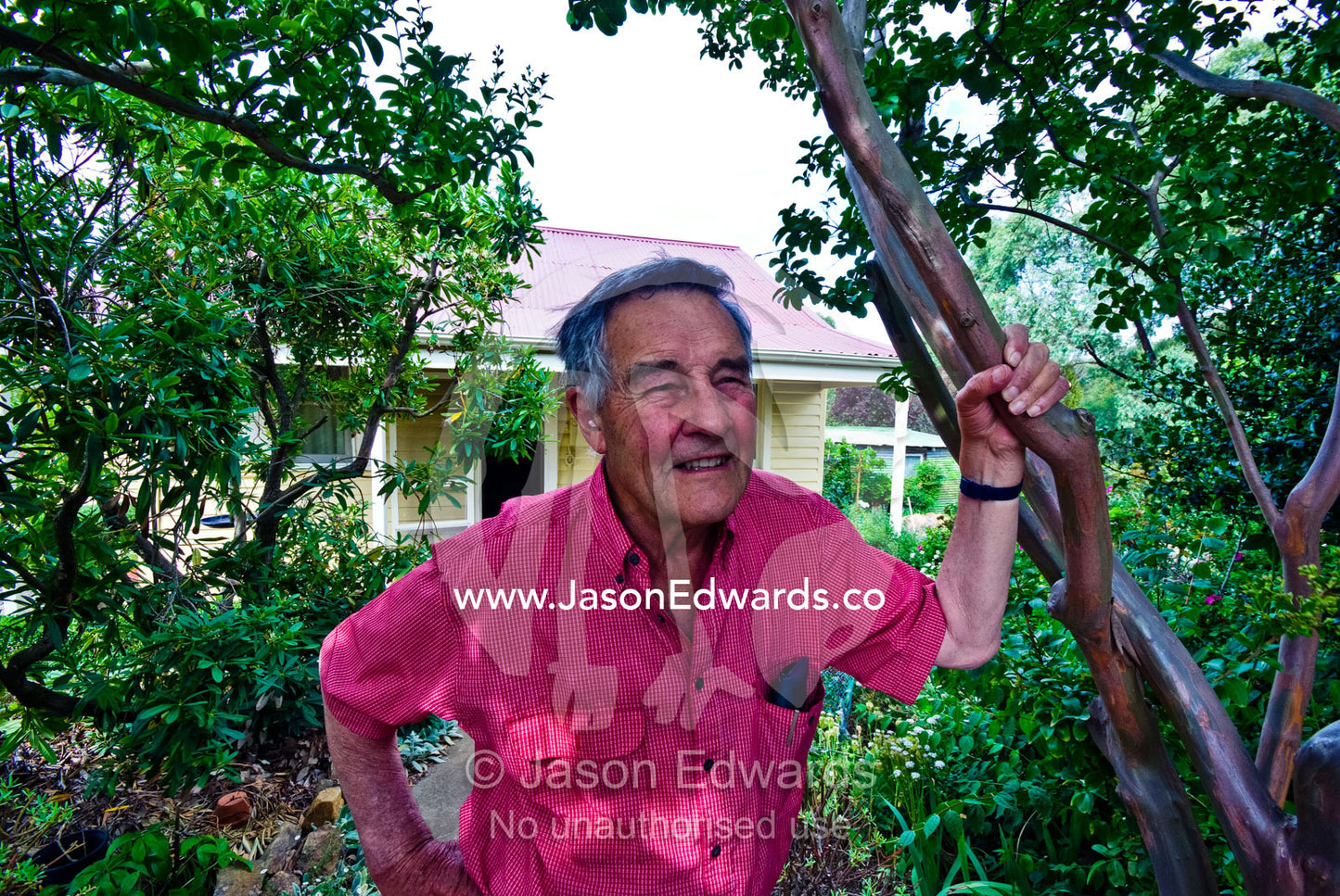 A smiling elderly man rests beneath a tree on a warm summer day. Castlemaine, Victoria, Australia.