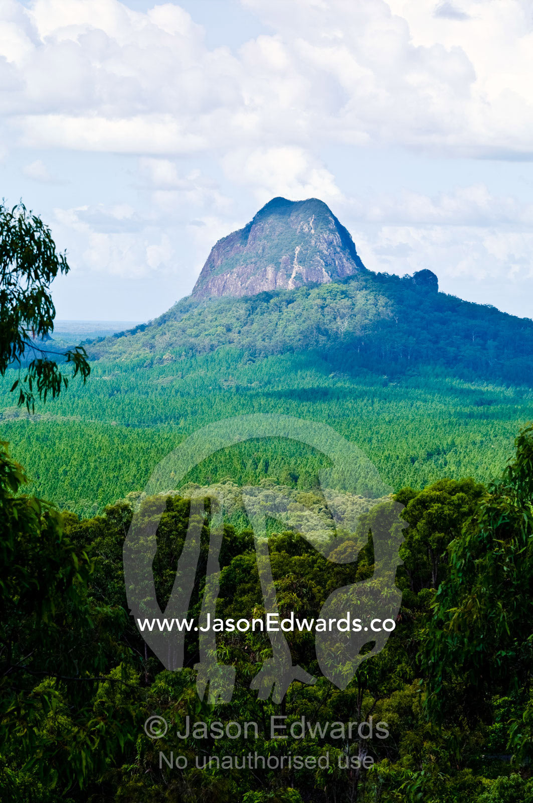 An eroded ancient volcanic plug rises above a forested plain. Mount Tibrogargen, Glass House Mountains, Brisbane, Queensland, Australia.