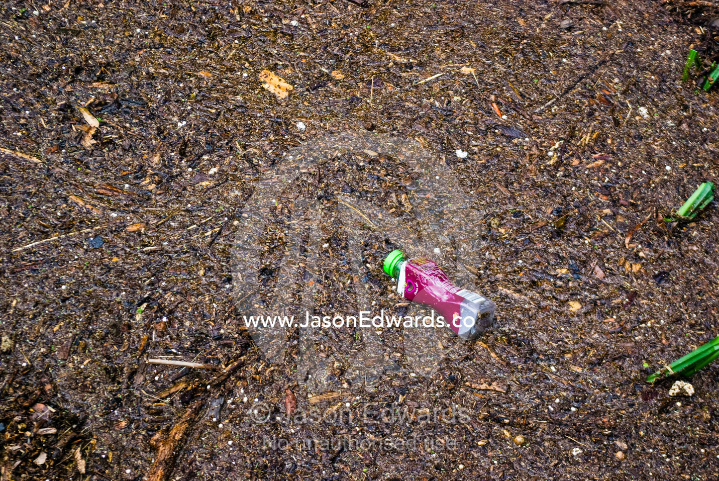 Pollution and leaves deposited in a wetland after flood waters recede. Gardener's Creek Trail, Malvern East, Melbourne, Victoria, Australia.