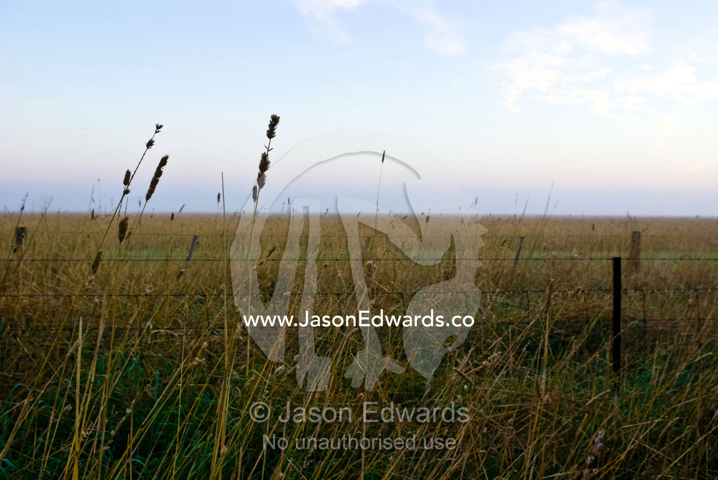 Winter dew drops and fog over a farm field and dry grasses at dawn. Mount Duneed, Geelong, Victoria, Australia.