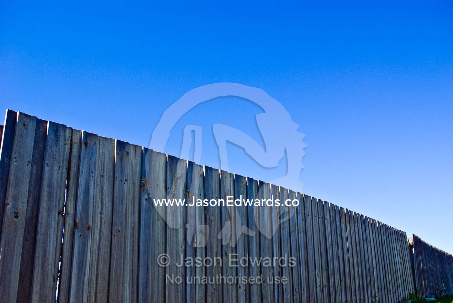 A timber paling fence along the boundary of a suburban house yard. Korumburra, South Gippsland, Victoria, Australia.