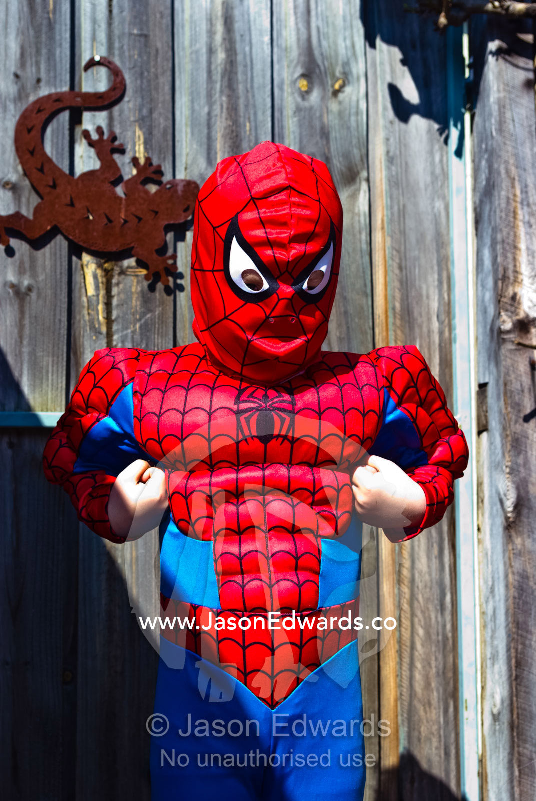 A boy plays dress-up and shows his muscles in his new Spider Man suit. Carlton North, Melbourne, Victoria, Australia.