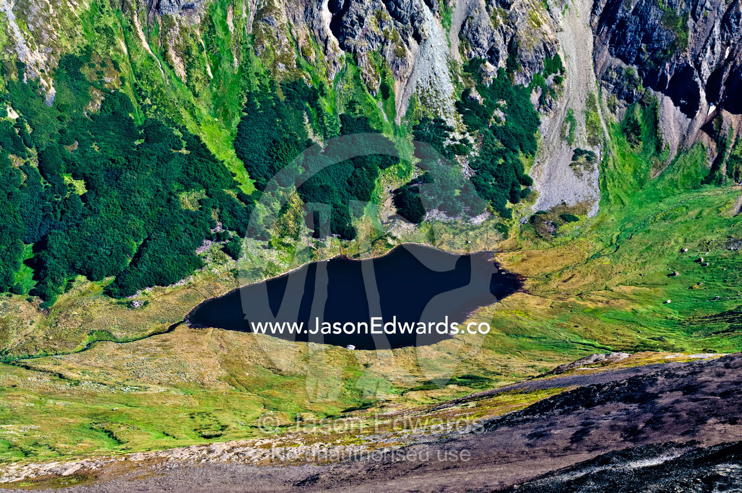 A small lake surrounded by moorland and peat-bog in a deep valley. Ushuaia, Martial Mountains, Fuegian Andes, Ushuaia Bay, Tierra del Fuego Archipelago, Straits of Magellan, Tierra del Fuego Province, Patagonia, Argentina.