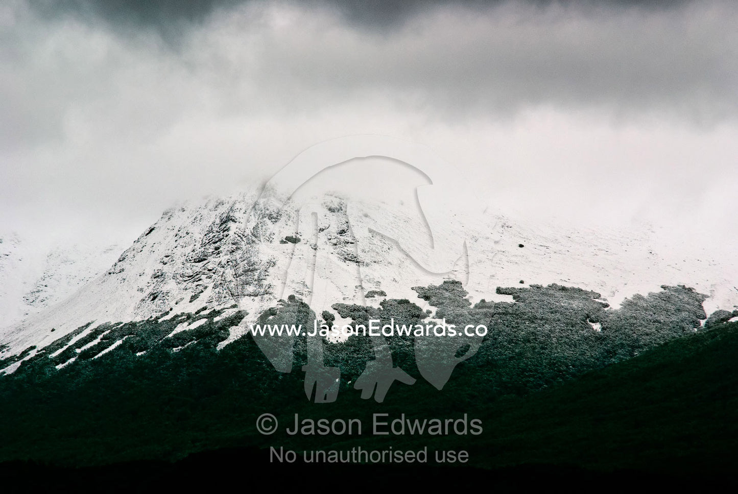 A dusting of snow covers a beech forest canopy on a mountainside. Glacier El Martial, Ushuaia, Fuegian Andes, Tierra del Fuego Archipelago, Straits of Magellan, Tierra del Fuego Province, Patagonia, Argentina.