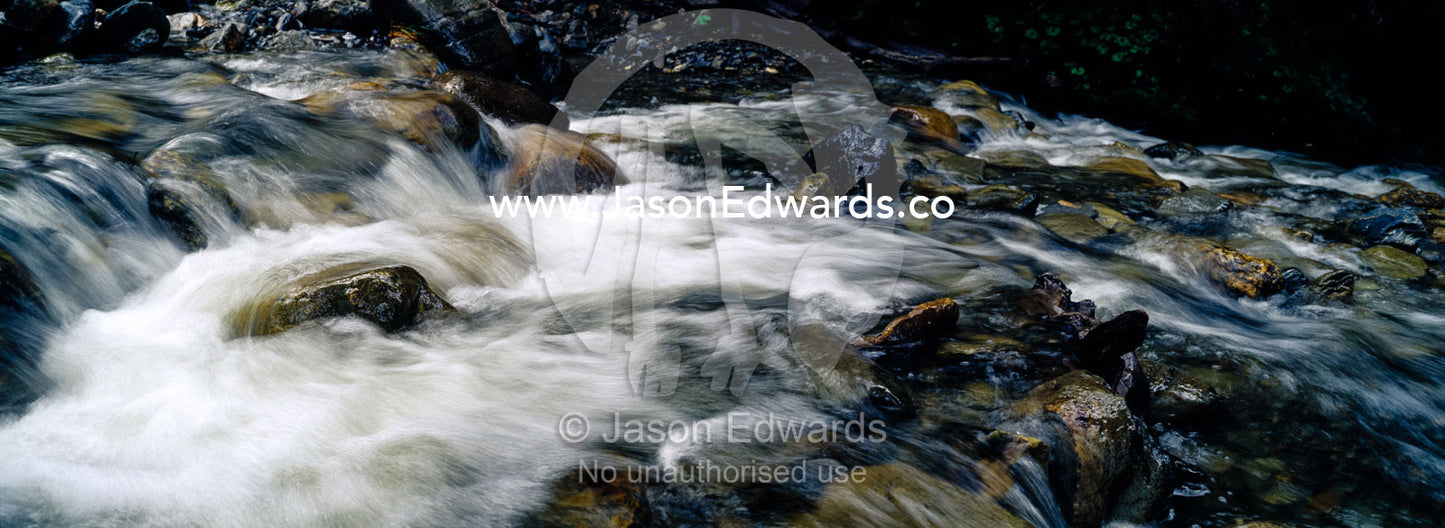 An alpine stream flows over boulders in a river bed in a beech forest. Glacier El Martial, Ushuaia, Fuegian Andes, Tierra del Fuego Archipelago, Straits of Magellan, Tierra del Fuego Province, Patagonia, Argentina.