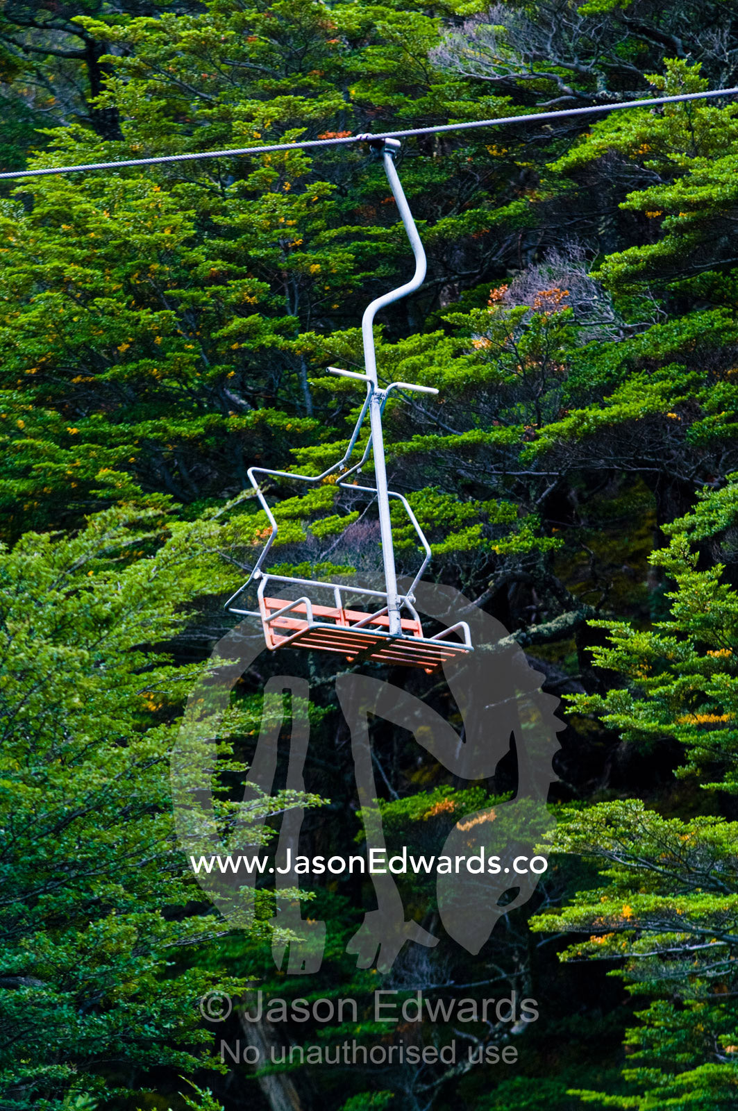 An alpine chairlift rises through a beech forest to a ski resort. Glacier El Martial, Ushuaia, Fuegian Andes, Tierra del Fuego Archipelago, Straits of Magellan, Tierra del Fuego Province, Patagonia, Argentina.
