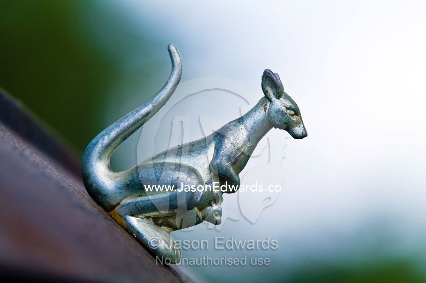 An ornamental silver kangaroo and joey on the roof of an antique car. Fish Creek, South Gippsland, Victoria, Australia.