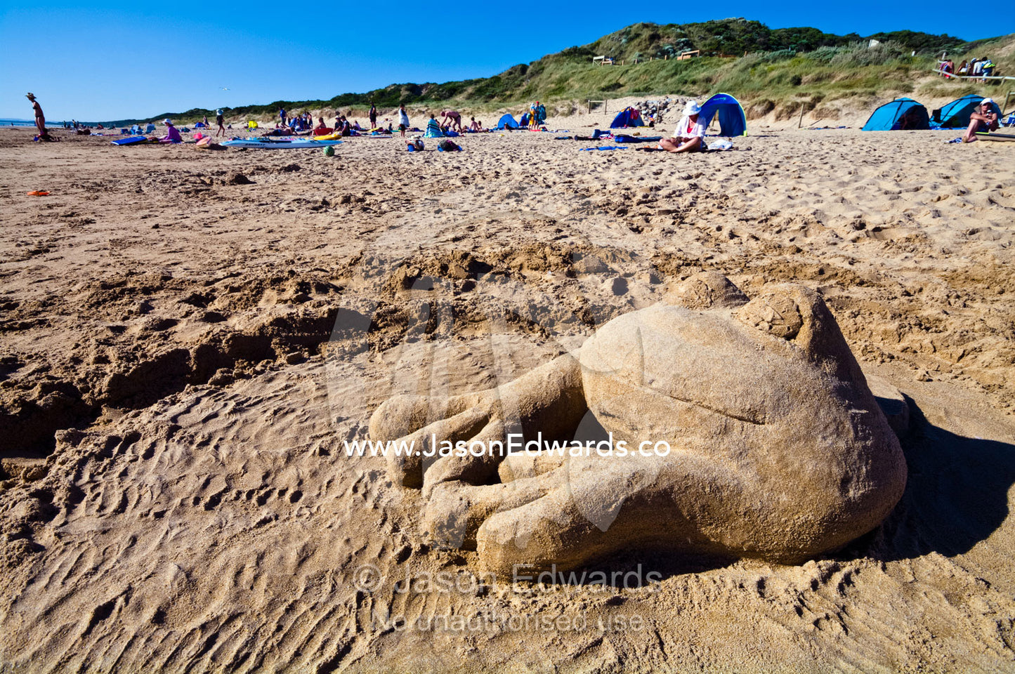 A sand sculpture of a green tree frog on a sandy beach in summer. Venus Bay, Cape Liptrap Coastal Park, Bass Strait, South Gippsland, Victoria, Australia.