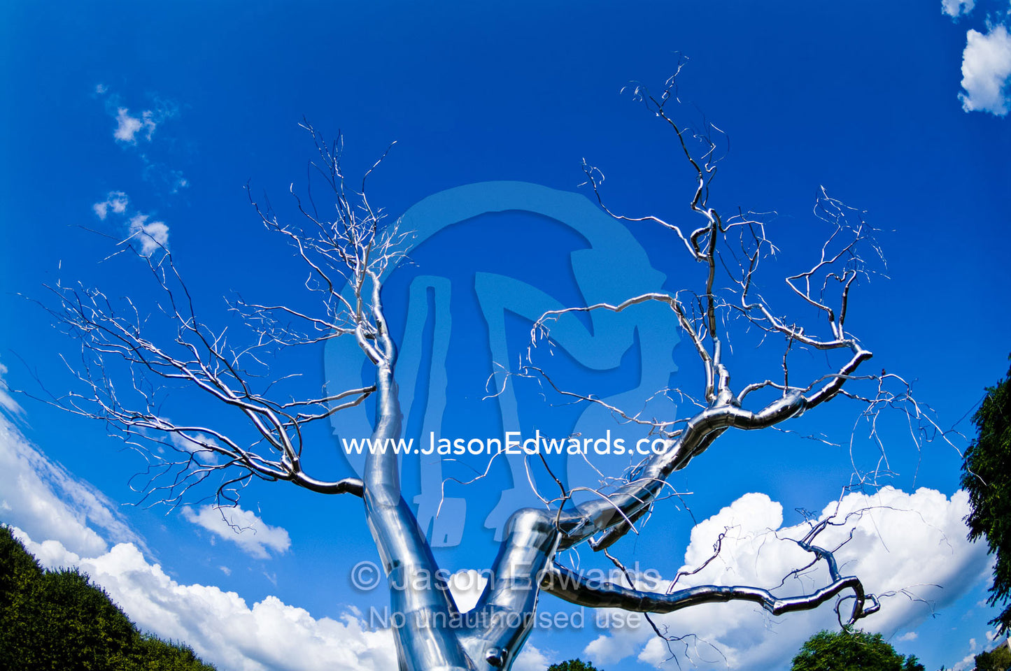The stark branches of a stainless steel tree reach into a blue sky. The National Gallery of Art Sculpture Garden, National Gallery of Art, National Mall, District of Columbia, United States of America