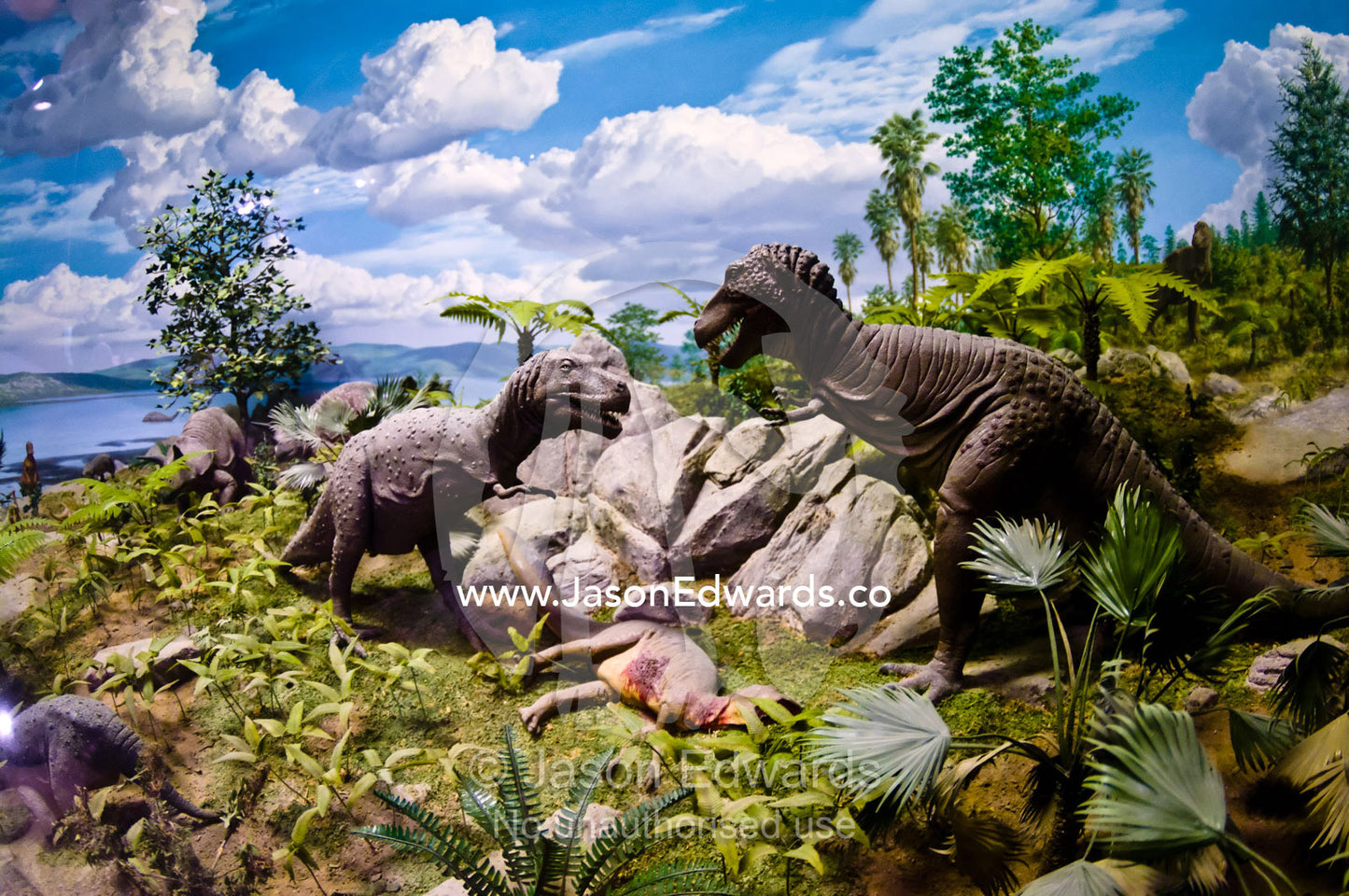 A model diorama of carnivorous dinosaurs eating a kill in a museum. Smithsonian Institution National Museum of Natural History, District of Columbia, United States of America.