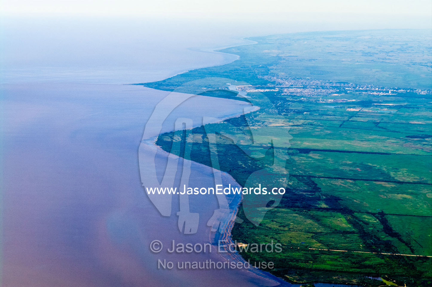 Lush tessellated farmland paddocks lining a scalloped coastline. Buenos Aires, Argentina.
