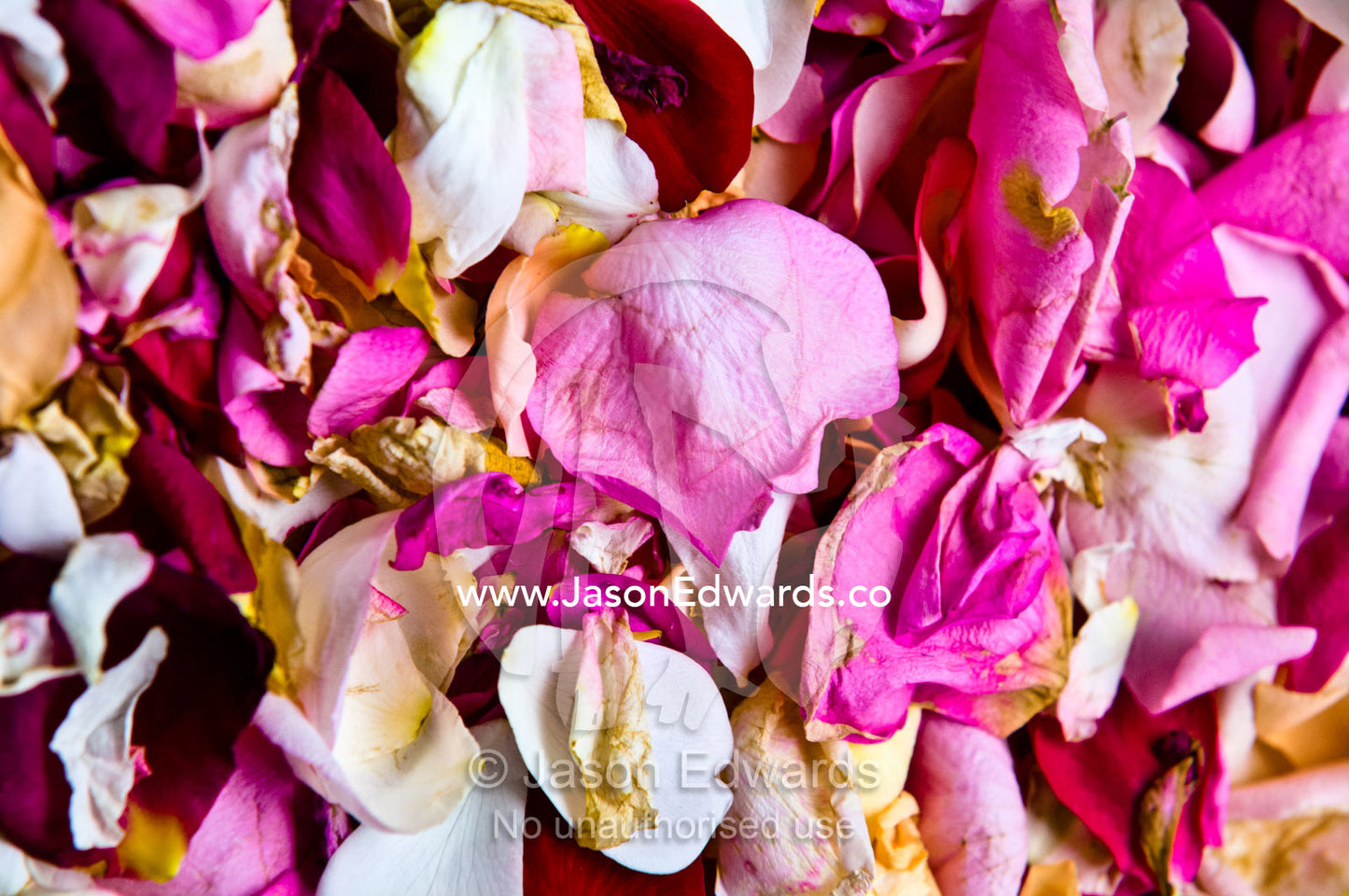 Dried rose petal potpourri used as bride confetti at a garden wedding. Park Orchards, Melbourne, Victoria, Australia.