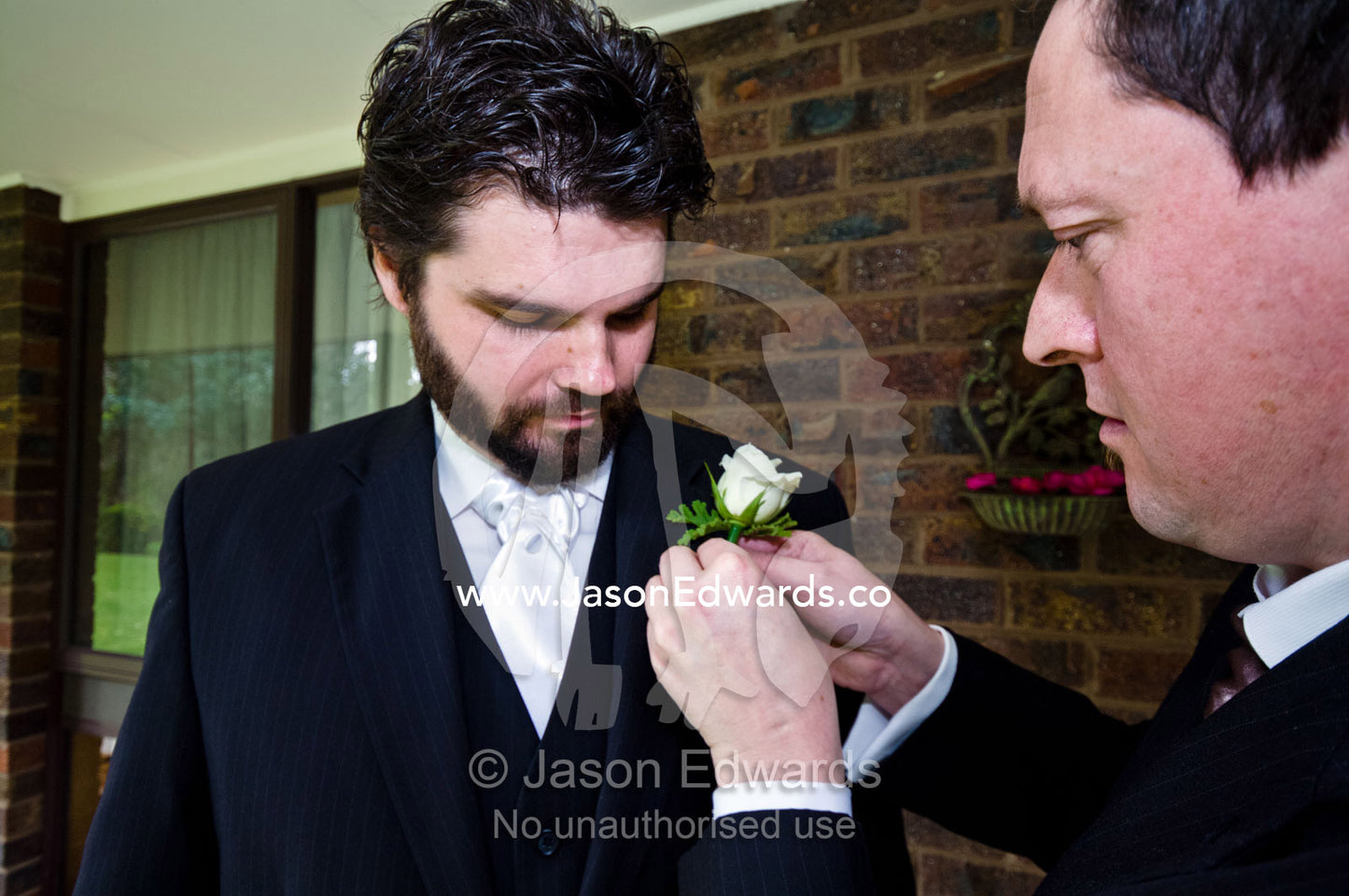A groomsman attaches a rose to the suit lapel of a groom at a wedding. Park Orchards, Melbourne, Victoria, Australia.