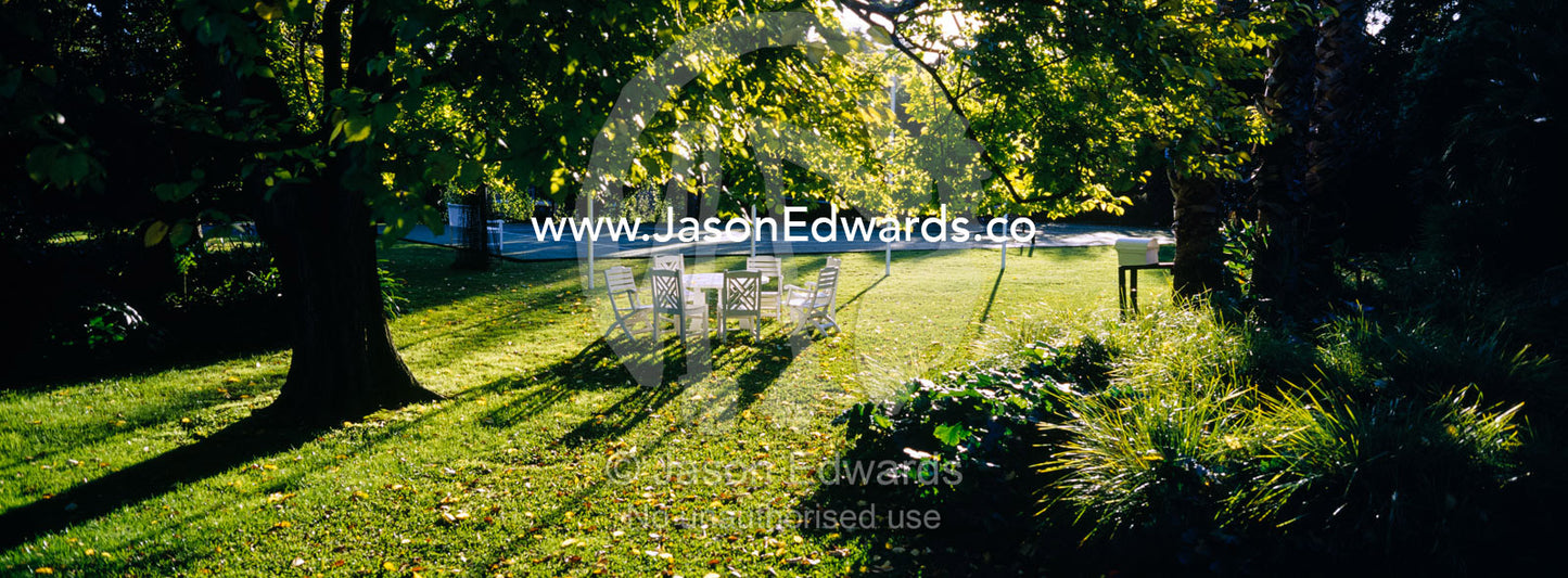 A garden table and chairs in the afternoon beneath a large Elm tree. Hawthorn, Melbourne, Victoria, Australia.