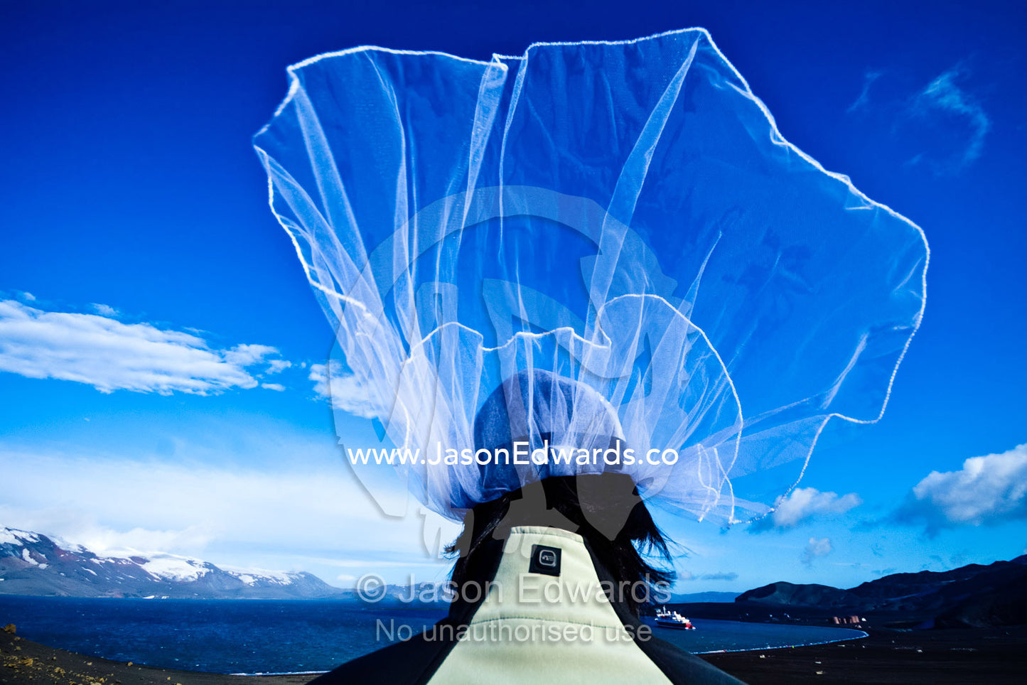 A bride's veil billows in the wind on a volcanic caldera rim. Neptune's Window, Whalers Bay, Antarctic Historic Site, Port Foster, Deception Island, South Shetland Islands, Antarctic Peninsula, Antarctica.