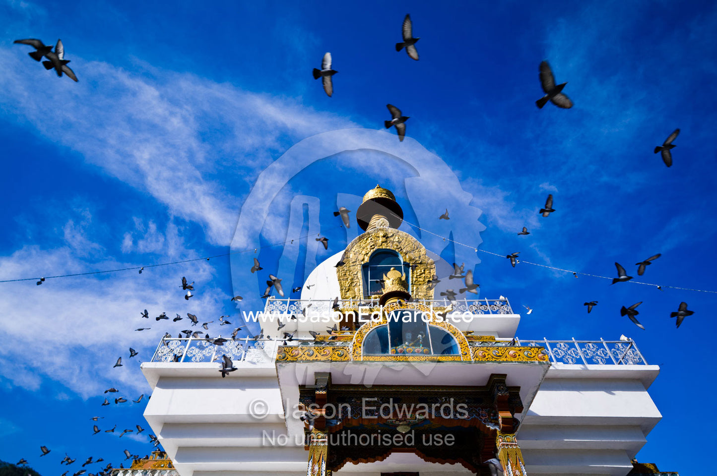 A flock of pigeons circle the golden spire of the Memorial Chorten beneath a blue sky. Thimphu Memorial Chorten, Thimphu Bhutan.