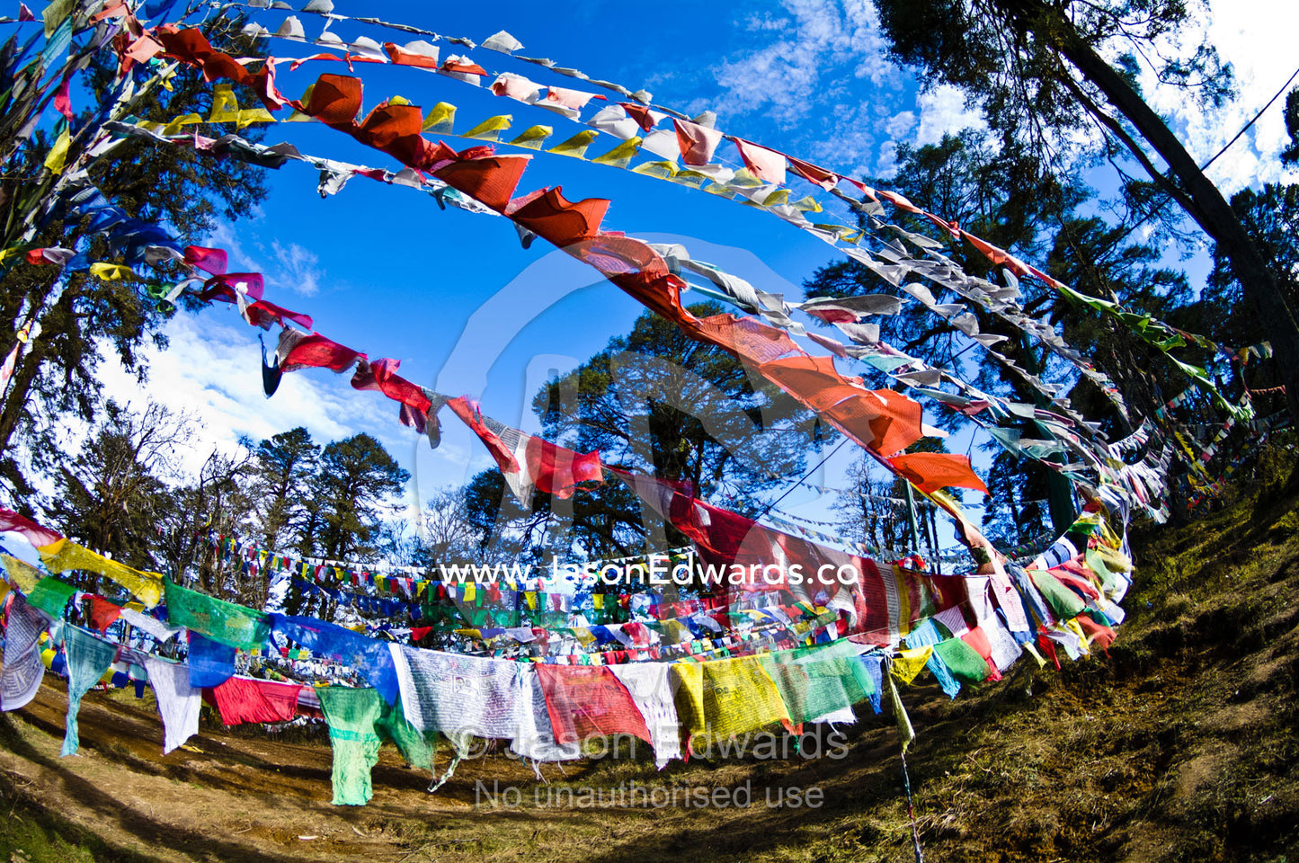 Colorful prayer flags hang between trees on a windy mountain side. 108 Druk Wangyal Khangzang Chortens, Dochula Pass, Thimphu District, Bhutan.