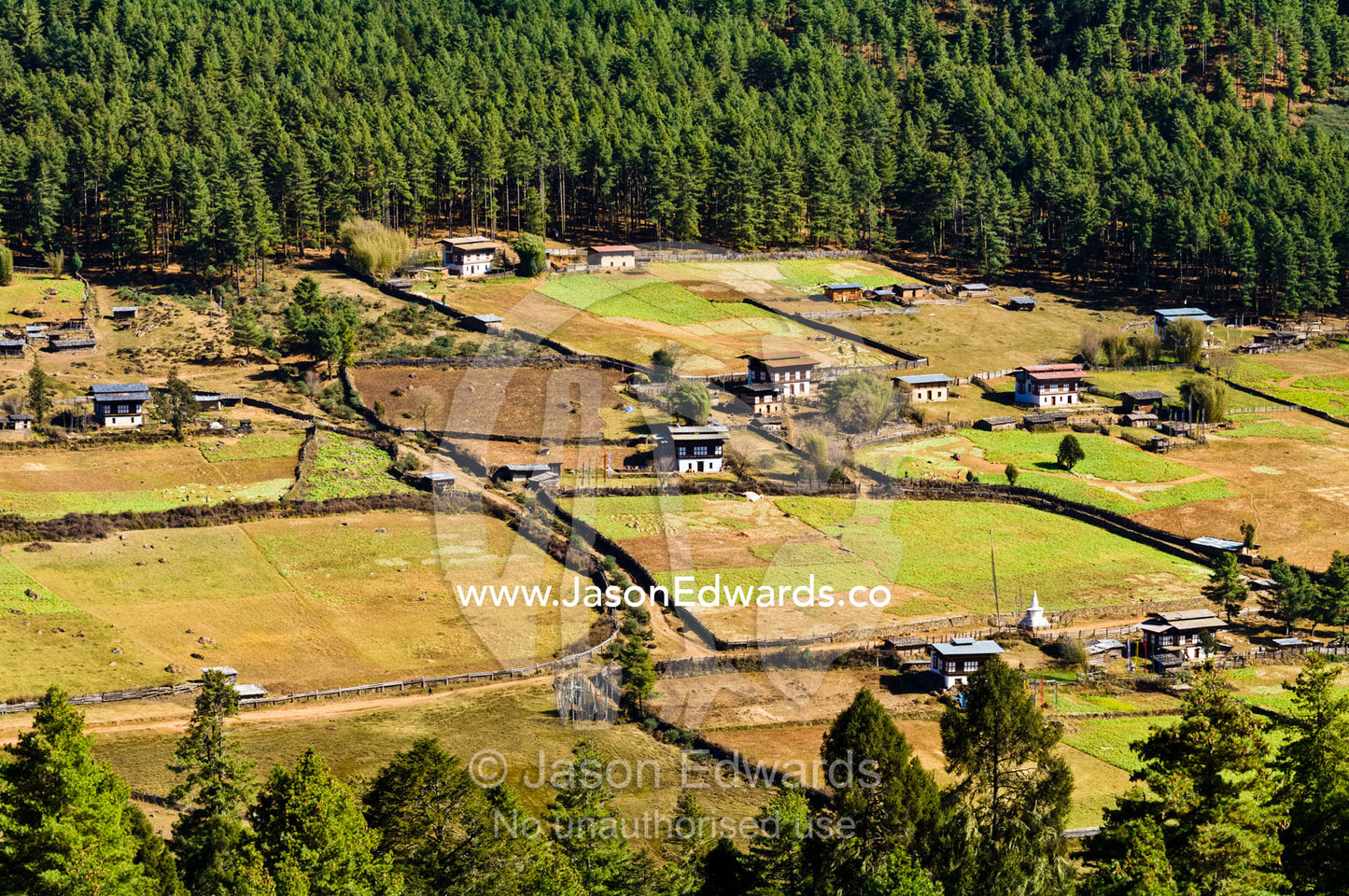 Farmland and agricultural field crops dotted with farmhouses surround a high-altitude wetland. Phobjikha Conservation Area, Phobjika Valley, Phobjikha Valley, Gangteng Valley, Black Mountains, Bhutan.