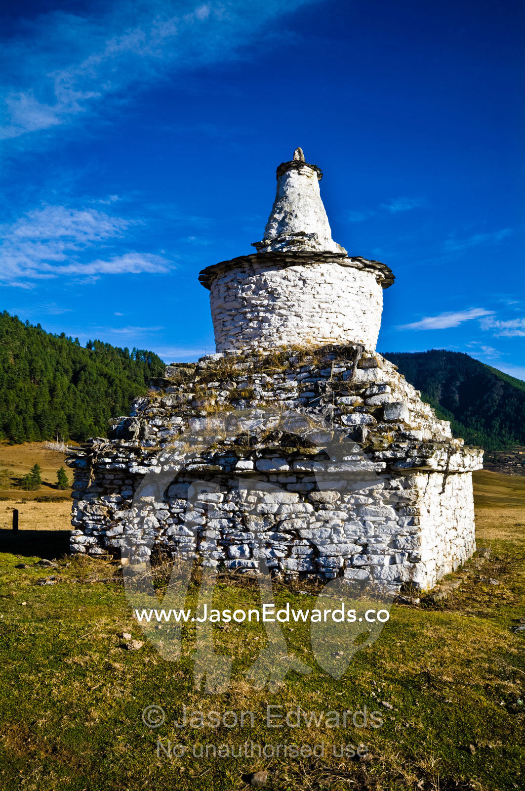 Grass grows between the stones of an ancient chorten overlooking a Himalaya wetland. Phobjikha Conservation Area, Phobjika Valley, Phobjikha Valley, Gangteng Valley, Black Mountains, Bhutan.