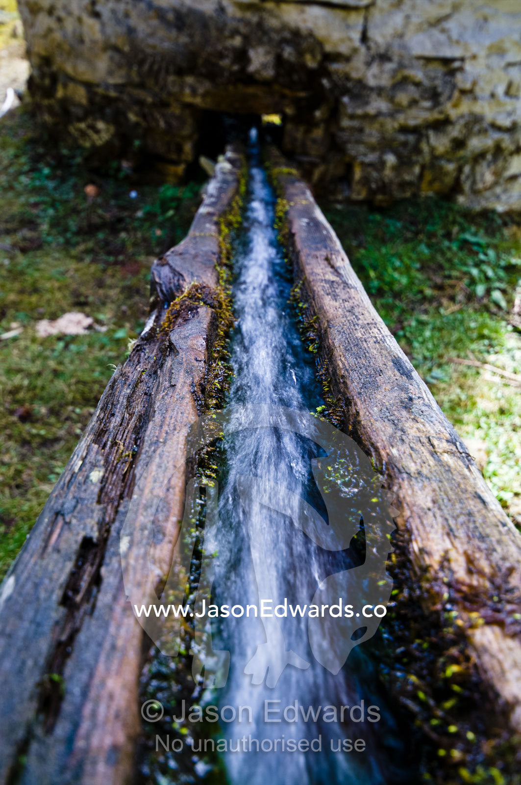 Moss and lichens growing on a timber aqueduct transporting water to a Mani Chukhor in a Himalaya valley. Dochula Pass, Thimphu District, Bhutan.