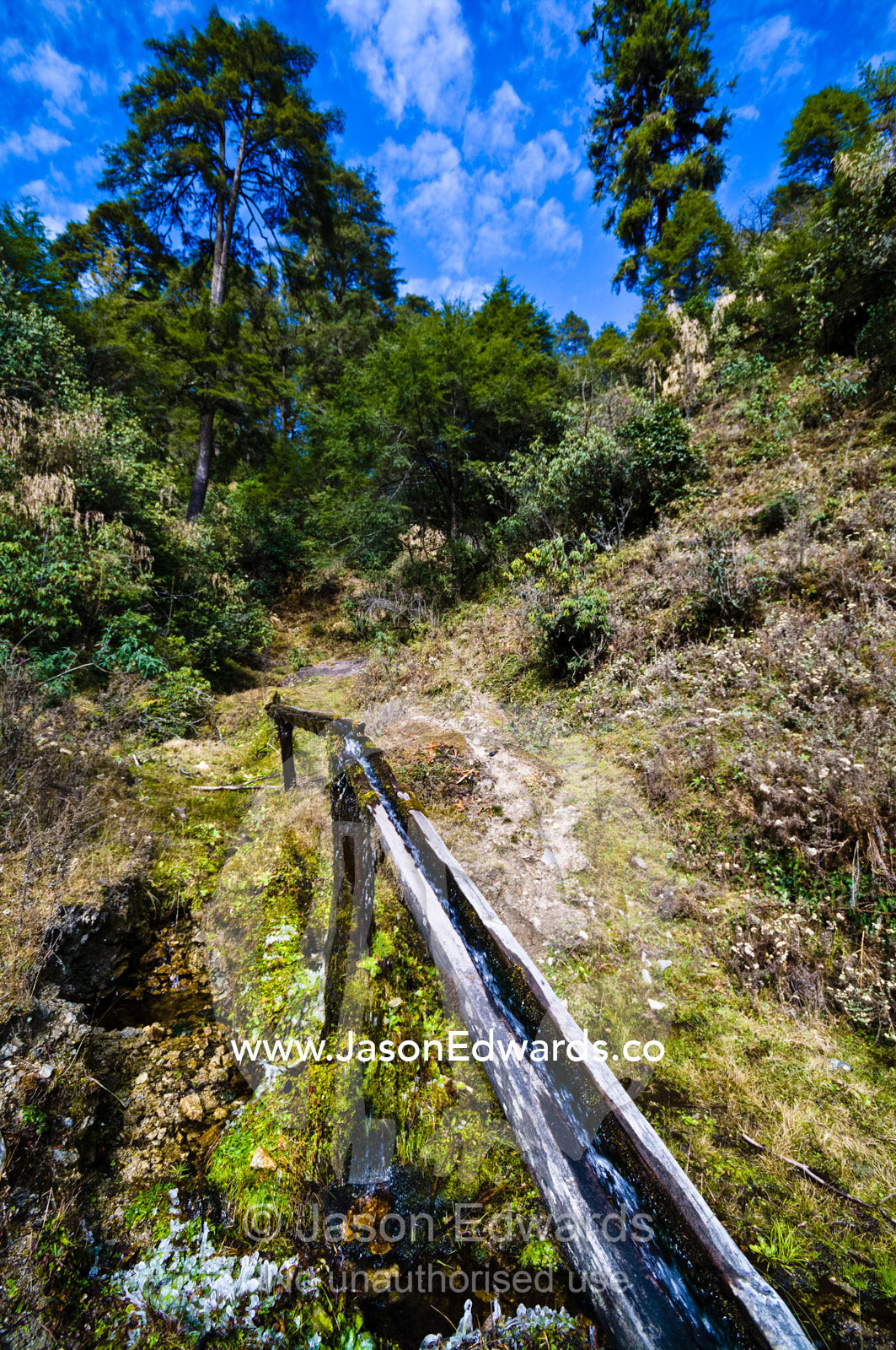 Moss and lichens growing on a timber aqueduct transporting water to a Mani Chukhor in a Himalaya valley. Dochula Pass, Thimphu District, Bhutan.