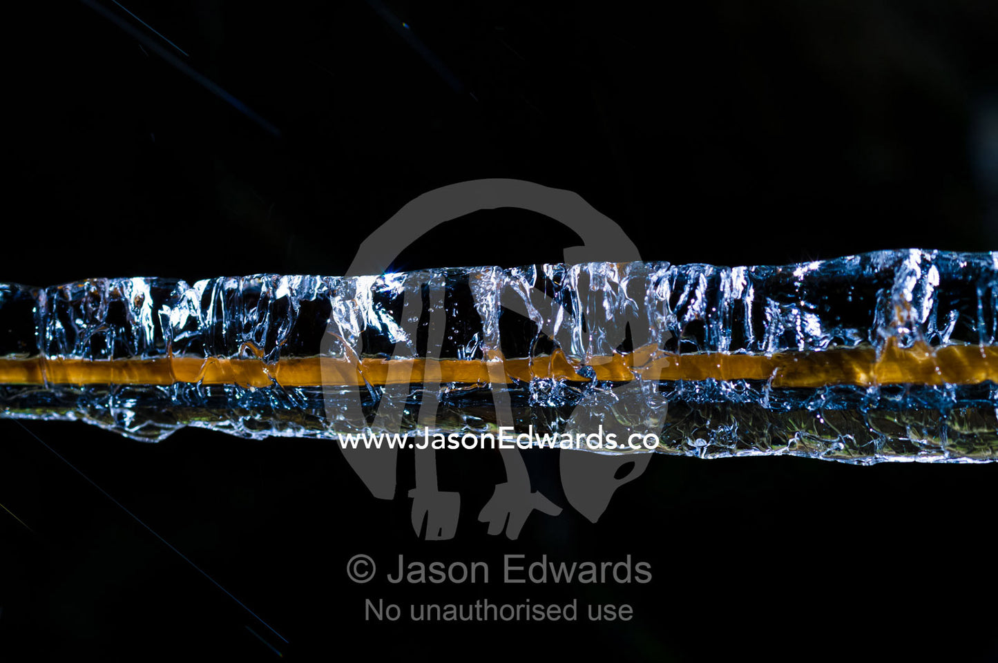 Water drops from a stream encase a blade of grass in ice in winter. Dochula Pass, Thimphu District, Bhutan.