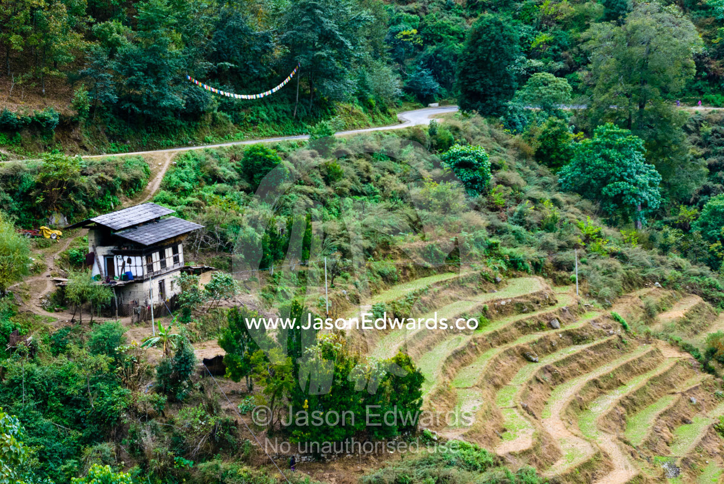 A Bhutanese farmhouse overlooking dry rice terraces in a Himalaya valley. Punakha District, Bhutan.