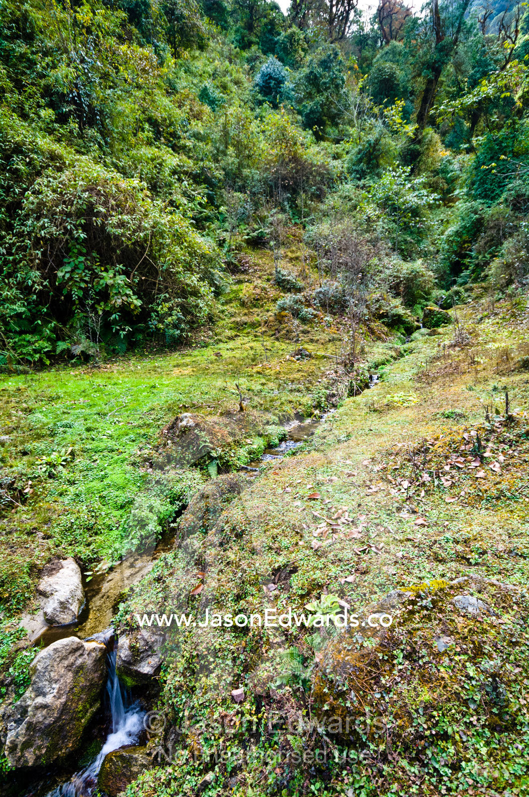 A small stream flowing down from the forested mountains and into a small Himalaya valley. Dochula Pass, Thimphu District, Bhutan.