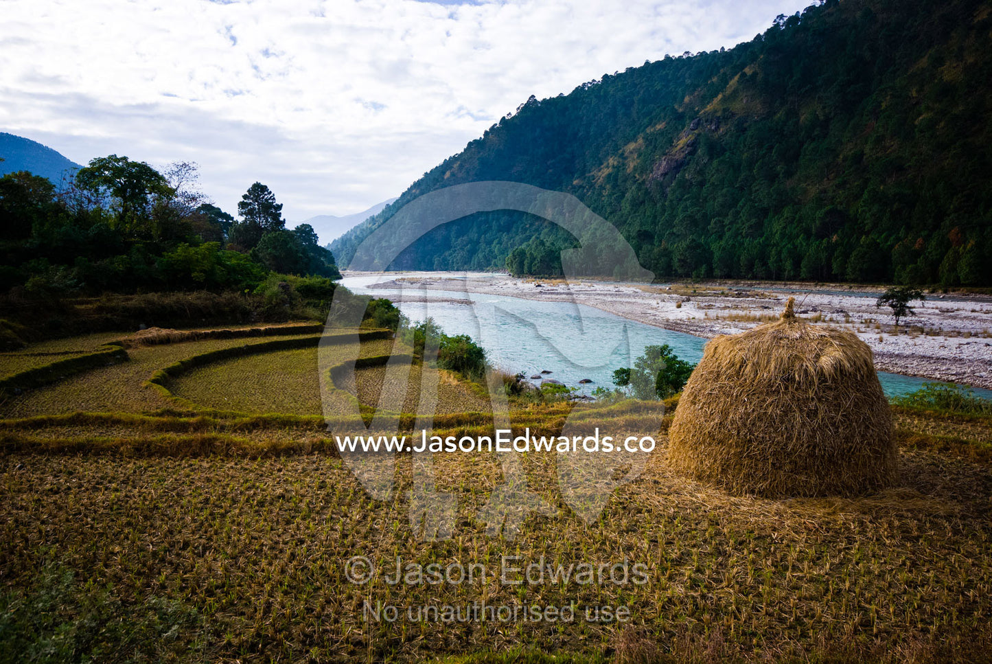 A dome of hay resting on a terraced farm field in a Himalaya valley. Punakha River, Punakha Valley, Punakha-Wangdiphodrang District, Bhutan.