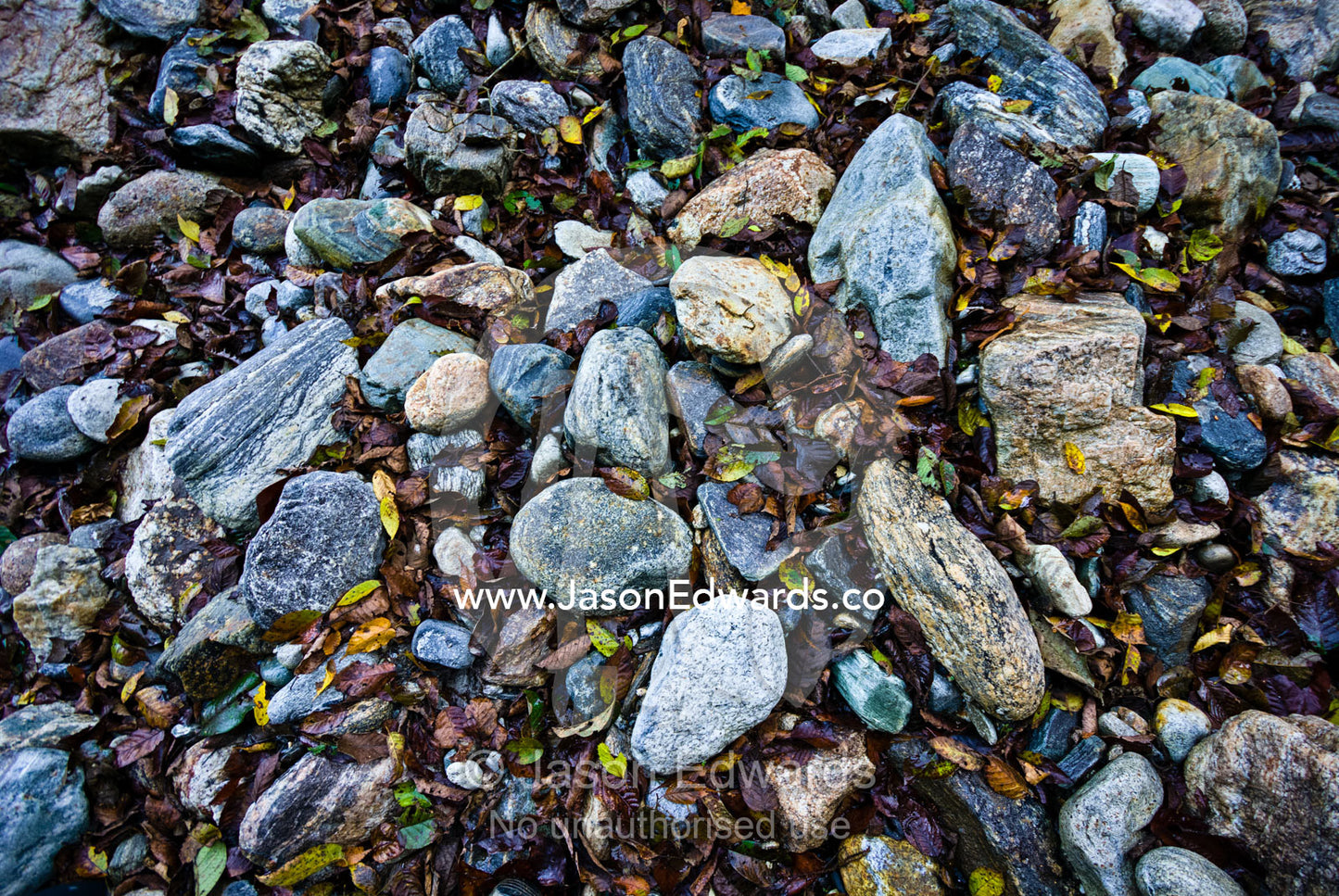 Rotting leaves from deciduous trees gather amongst boulders on the shore of an alpine river. Pho Chu, Pho River, Gasa Dzong, Gasa Tashi Tongmon Dzong, Gasa Gasa Dzongkhag District, Bhutan.