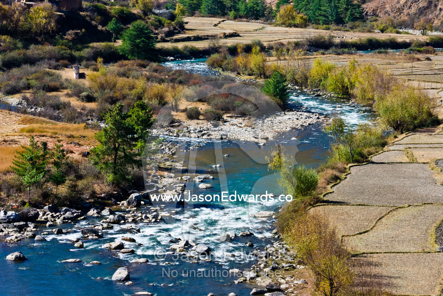 An alpine river cascades through a rocky riverbed past agriculture fields. Paro Chu, Paro River, Paro, Paro District, Bhutan.