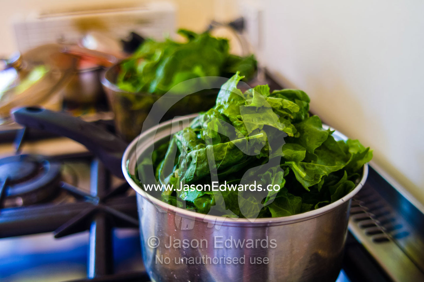 A stainless steel pot of fresh spinach leaves simmers on a cooktop. Castlemaine, Victoria, Australia.