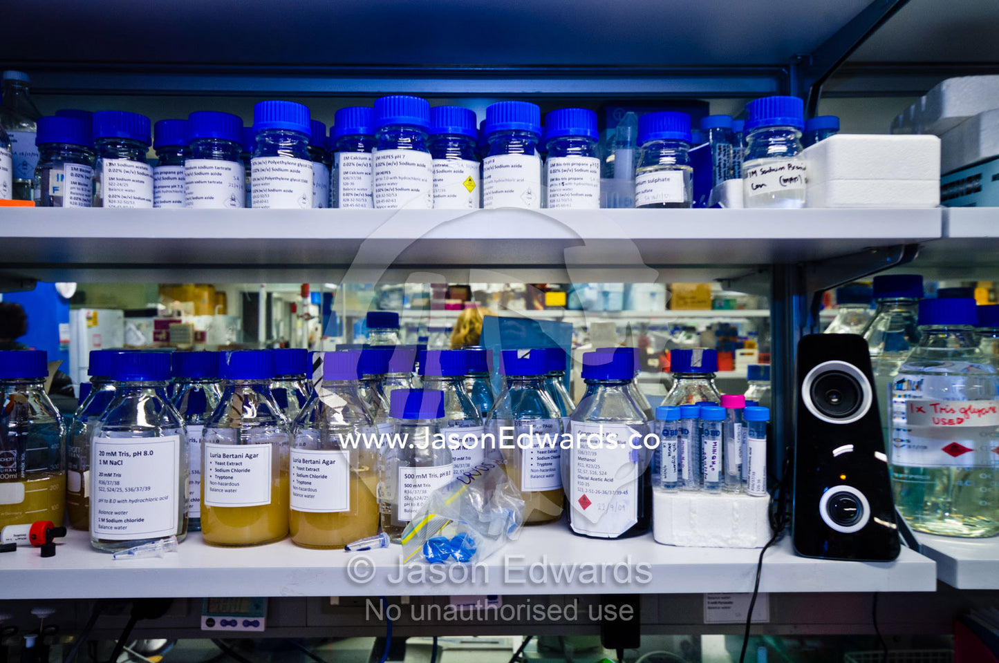 Buffers, reagents and bacterial growth media in a research laboratory. Bio21 Molecular Science and Biotechnology Institute, University of Melbourne, Parkville, Melbourne, Victoria, Australia.