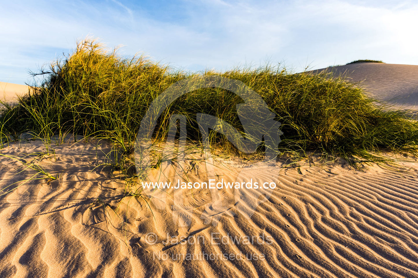 Grass tussock stabilise windswept coastal desert sand dunes at sunset. Cape Range National Park, Exmouth, Ningaloo Reef, Western Australia, Australia.