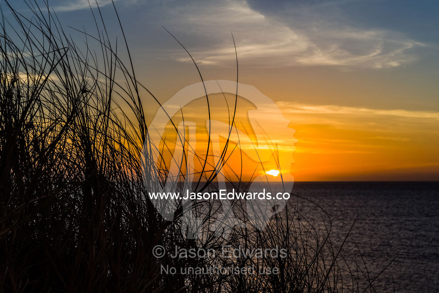 A colony of coastal grasses overlooking a tropical sea at sunset. Cape Range National Park, Exmouth, Ningaloo Reef, Western Australia, Australia.