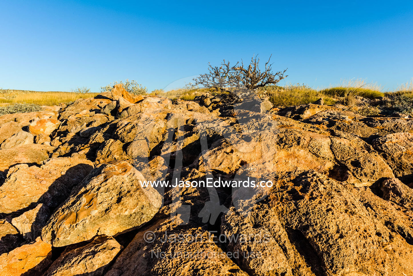 An ancient eroded limestone reef exposed to the baking desert sun. Cape Range National Park, Exmouth, Ningaloo Reef, Western Australia, Australia.