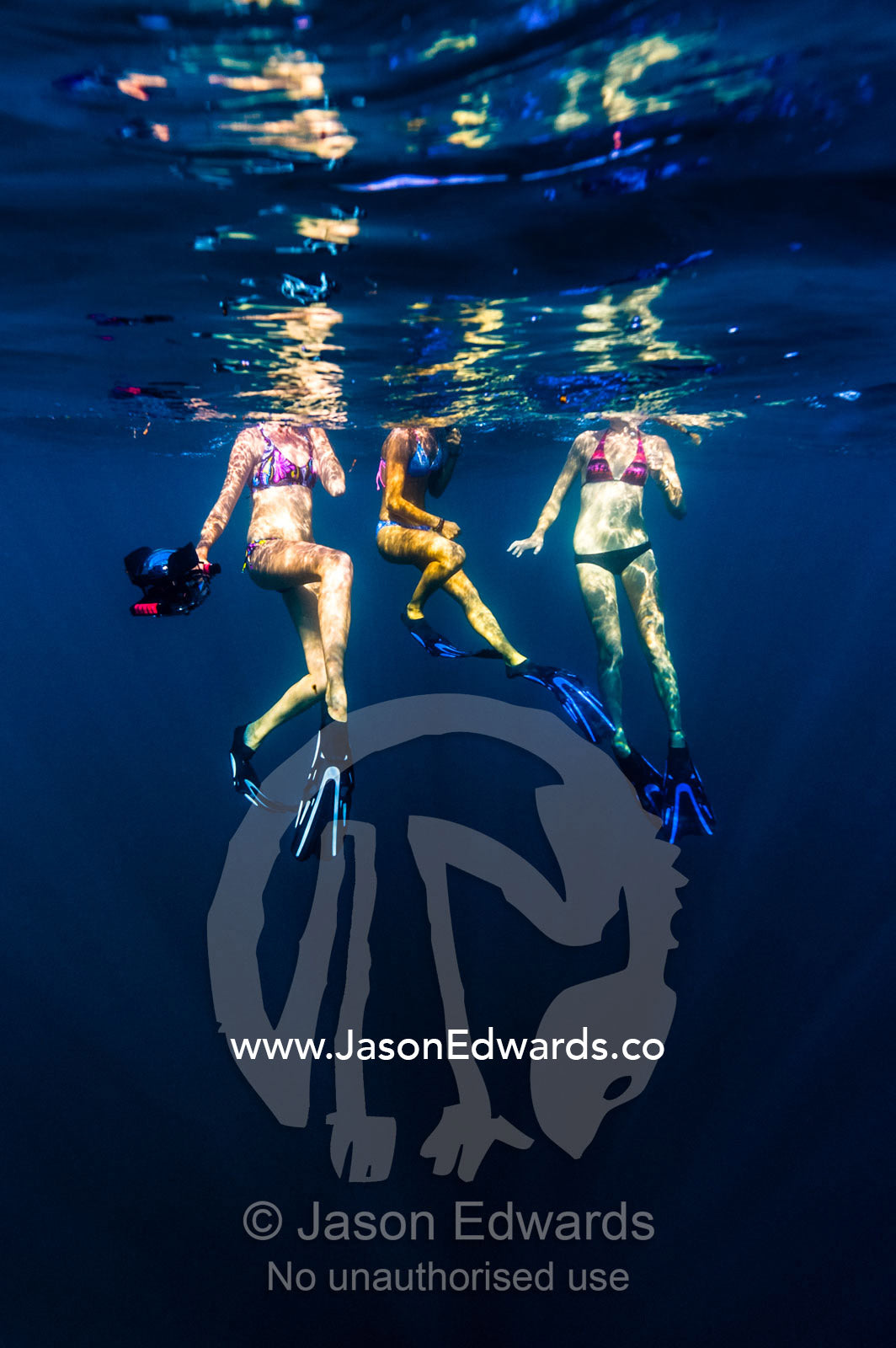 Free-divers in bikinis float on the ocean surface with a video camera. Exmouth, Ningaloo Reef, Ningaloo Marine Park, Western Australia, Australia.