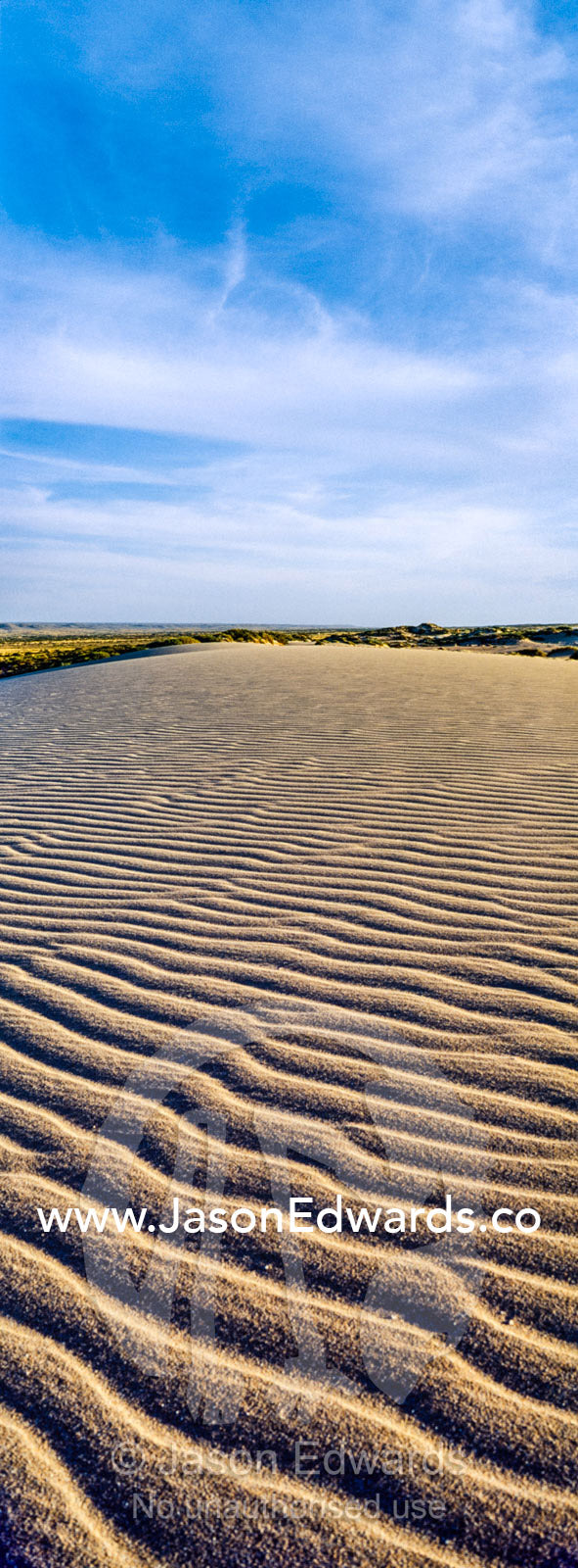Wind ripples on the surface of a coastal desert sand dune at sunset. Cape Range National Park, Exmouth, Ningaloo Reef, Western Australia, Australia.