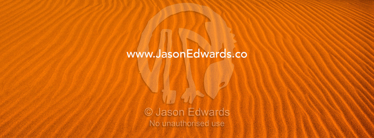 Geometric ripples in the face of a red sand dune in a coastal desert. Cape Range National Park, Exmouth, Ningaloo Reef, Western Australia, Australia.
