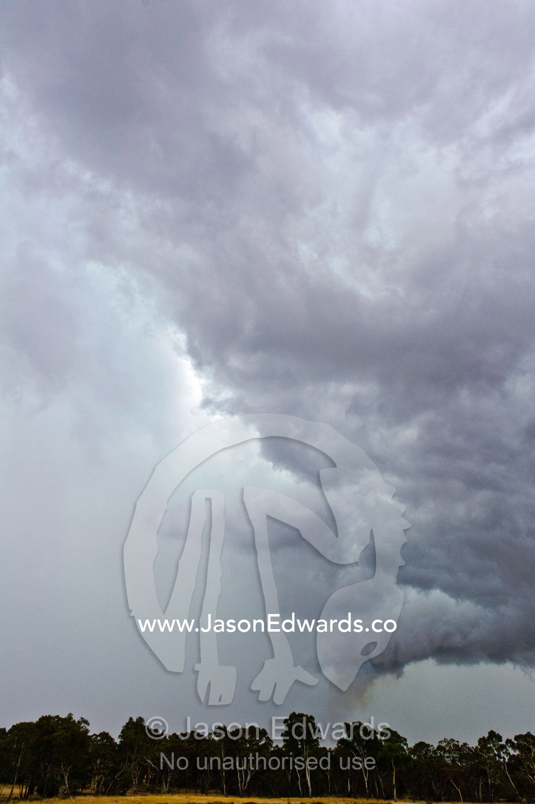 During thunder storms lightning can start fires in eucalyptus forests. Bendigo, Elphinstone, Victoria, Australia.