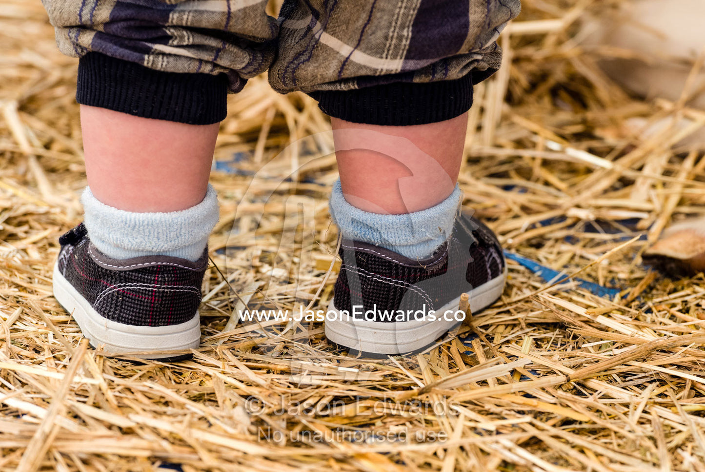 A toddlers little sneakers as he explores a children's barnyard. Carlton North, Melbourne, Victoria, Australia.