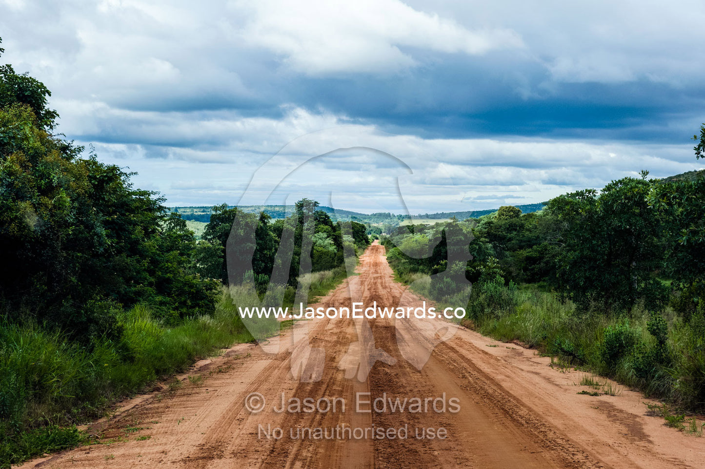 A sandy track heads across a savannah plain beneath storm clouds. Waterberg Mountains, Entabeni Game Reserve, Limpopo Province, South Africa.