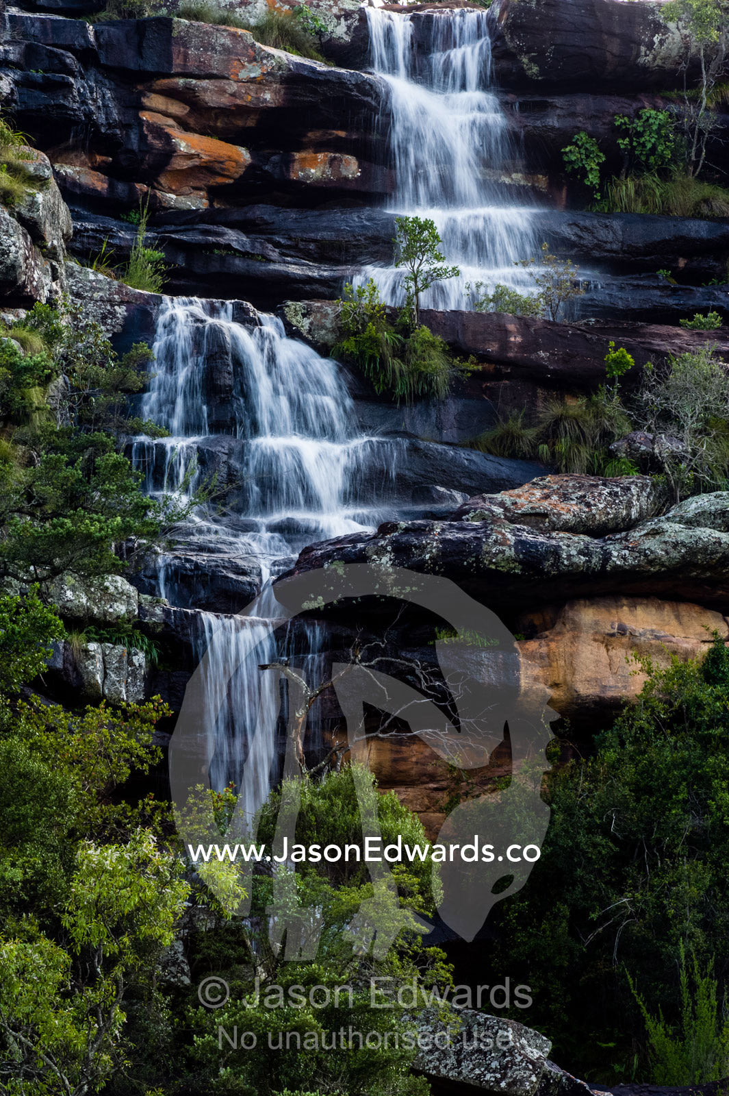 A waterfall cascading down a rocky forest escarpment. Waterberg Mountains, Entabeni Game Reserve, Limpopo Province, South Africa.